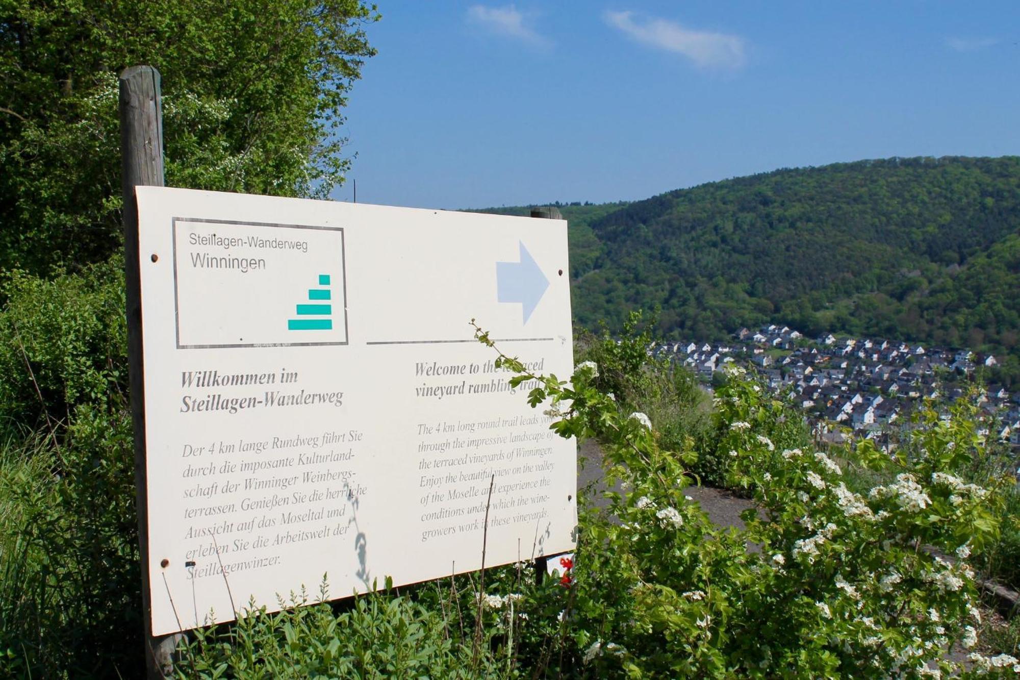 Ferienwohnung Auf Der Moselhoehe - Naehe Koblenz Und Cochem Dieblich Exterior photo