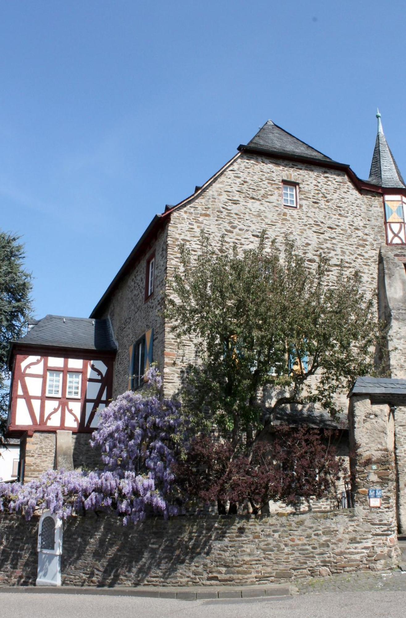 Ferienwohnung Auf Der Moselhoehe - Naehe Koblenz Und Cochem Dieblich Exterior photo