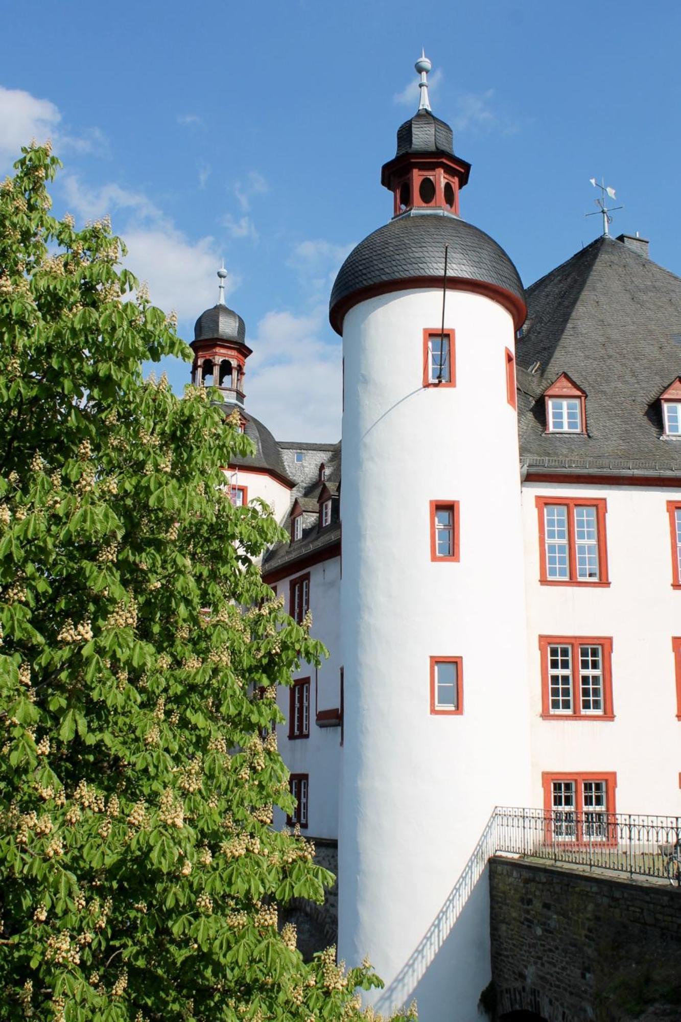 Ferienwohnung Auf Der Moselhoehe - Naehe Koblenz Und Cochem Dieblich Exterior photo