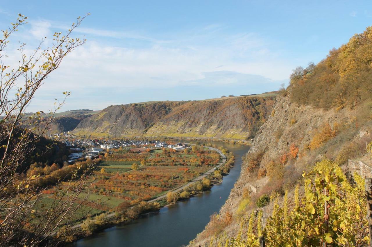 Ferienwohnung Auf Der Moselhoehe - Naehe Koblenz Und Cochem Dieblich Exterior photo